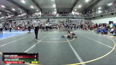 60 lbs Cons. Round 2 - Regan Daleske, Blue Pride Wrestling Club-AAA vs Dash Chester, Neosho Youth Wrestling-AAA