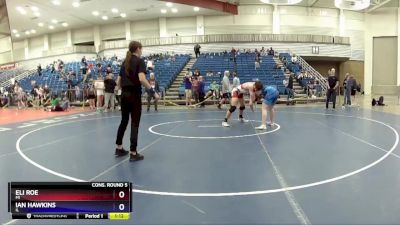 145 lbs Cons. Round 5 - Eli Roe, MI vs Ian Hawkins, IL