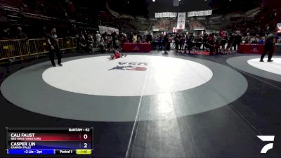 62 lbs Cons. Round 3 - Cali Faust, Red Wave Wrestling vs Casper Lin, Cannon Falls