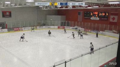 Replay: Home - 2024 Adrian College vs Villanova | Mar 13 @ 10 AM