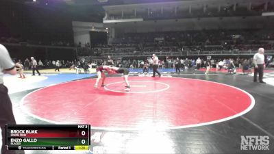 138 lbs Quarterfinal - Brock Buak, Union Mine vs Enzo Gallo, Placer