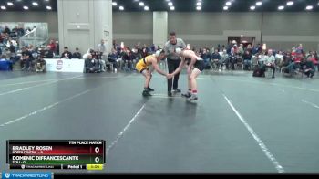 141 lbs Placement Matches (16 Team) - Domenic Difrancescantonio, TCNJ vs Bradley Rosen, North Central