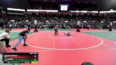 102 lbs Quarterfinal - Lucas Schulz, BKV1 vs Ty Bosco, ARC3