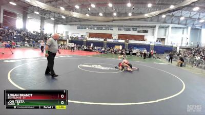 110 lbs Round 2 (3 Team) - Jon Testa, Hilton vs Logan Brandt, East Islip HS