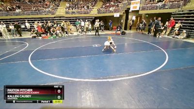 53 lbs Quarterfinal - Paxton Pitcher, Sanderson Wrestling Academy vs Kallen Causey, Shootbox