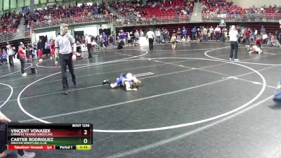 53 lbs Quarterfinal - Carter Rodriguez, Shelton Wrestling Club vs Vincent Vonasek, Chineeto Trained Wrestling