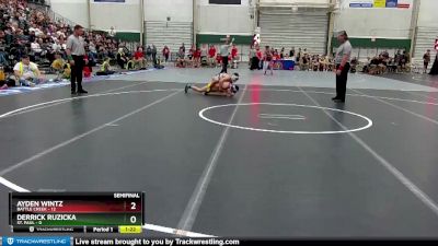 113 lbs Semis & 1st Wrestleback (8 Team) - Derrick Ruzicka, St. Paul vs Ayden Wintz, Battle Creek