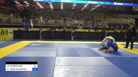 WILLIAN SERGIO SGAI vs CHRISTOPHER TODD SCHAEFER 2024 Pan Jiu Jitsu IBJJF Championship