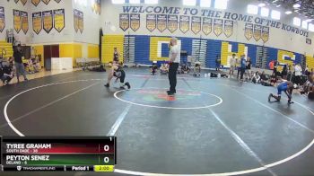 132 lbs Semifinals (8 Team) - Peyton Senez, Deland vs Tyree Graham, South Dade