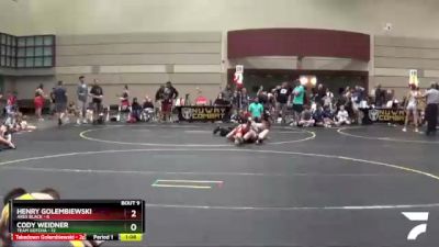 91 lbs Round 3 (6 Team) - Henry Golembiewski, Ares Black vs Cody Weidner, Team Gotcha