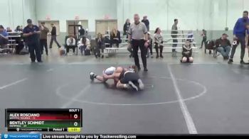 84 lbs Finals (2 Team) - Alex Rosciano, Bitetto Trained vs Bentley Schmidt, Rampage