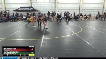 125 lbs Round 1 (4 Team) - Brayden Hall, Ares Black vs Nathan Weiland, Michigan Matcats