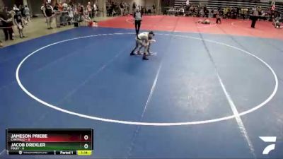 95 lbs Semis (4 Team) - Jameson Priebe, Chatfield vs Jacob Drexler, Foley