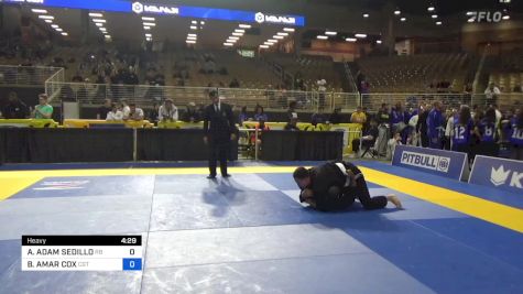 ANDREW ADAM SEDILLO vs BRAEDEN AMAR COX 2024 Pan Jiu Jitsu IBJJF Championship