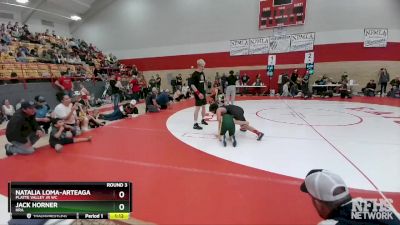 98-109 lbs Round 3 - Jack Horner, HRA vs Natalia Loma-Arteaga, Platte Valley Jr WC