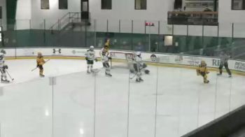 Replay: AIC vs Mercyhurst | Feb 19 @ 3 PM