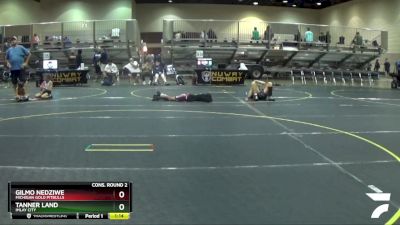 130 lbs Cons. Round 2 - Gilmo Nedziwe, Michigan Gold Pitbulls vs Tanner Land, Imlay City