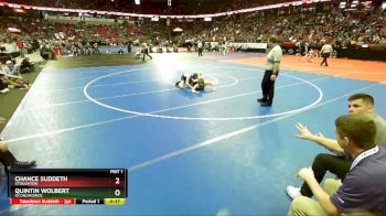 D1-132 lbs 3rd Place Match - Chance Suddeth, Stoughton vs Quintin Wolbert, Oconomowoc
