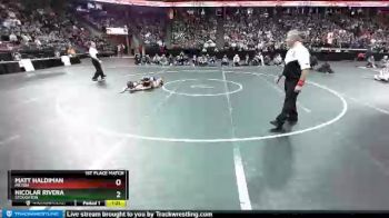 D1-126 lbs 1st Place Match - Nicolar Rivera, Stoughton vs Matt Haldiman, Milton