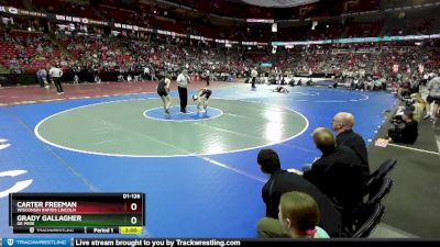 D1-126 lbs Champ. Round 1 - Carter Freeman, Wisconsin Rapids Lincoln vs Grady Gallagher, De Pere