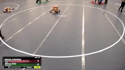 113 lbs Quarterfinal - Regan Johnson, New Ulm Rolling Thunder Wrestling Club vs Bryce Ness, Minnesota