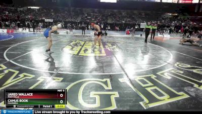 98 lbs Cons. Round 4 - Jared Wallace, Post Falls vs Camus Book, Caldwell