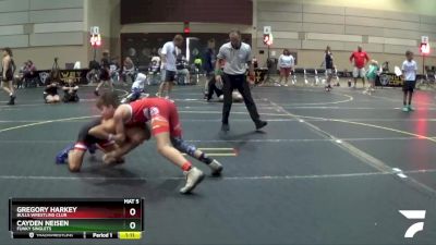 117 lbs Round 1 - Gregory Harkey, Bulls Wrestling Club vs Cayden Neisen, Funky Singlets