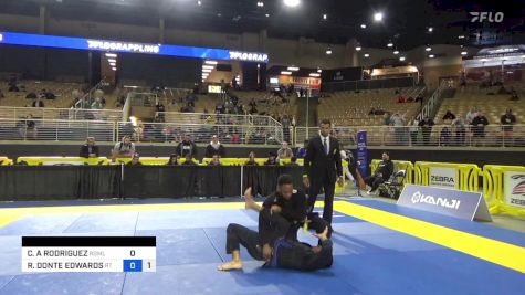 CHRISTIAN A RODRIGUEZ vs RASEAN DONTE EDWARDS 2024 Pan Jiu Jitsu IBJJF Championship