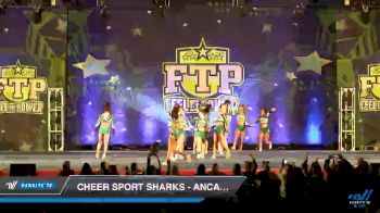 Cheer Sport Sharks - Ancaster - Cheer Sport Sailfin Sharks [2019 Senior XSmall 5 Day 2] 2019 Feel The Power East