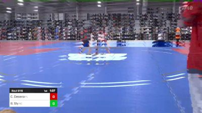 132 lbs Quarterfinal - Charlie Desena, FL vs Bentley Sly, NC