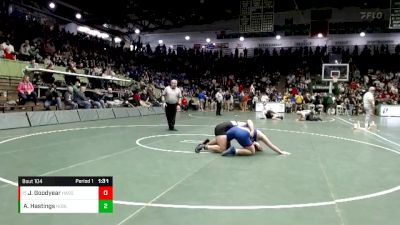 220 lbs Champ. Round 1 - Jackson Goodyear, Hamilton Southeastern vs Austin Hastings, Noblesville