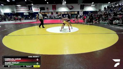 106 lbs Cons. Round 3 - Carbajal Lucas, Temecula Valley vs Raden Madley, Santa Monica