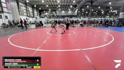 113 lbs 1st Place Match - Brandon Cynar, Bruin Brawlers Wrestling Club vs Brodie Gibbs, Hanover Hawkeye Youth Wrestlin