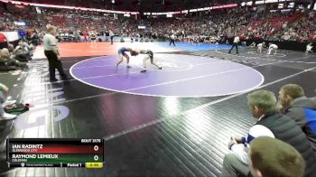 D3-126 lbs Cons. Semi - Ian Radintz, Glenwood City vs Raymond Lemieux, Coleman