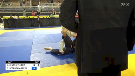 ALEXANDER HINES KELLEMS vs CESAR STEPHEN AGREDA 2024 Pan Jiu Jitsu IBJJF Championship