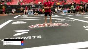 Bernardo Goulart vs Sam Eckstein 2024 ADCC Sao Paulo Open