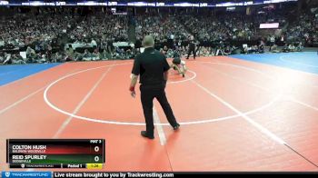 D2-120 lbs 1st Place Match - Reid Spurley, Dodgeville vs Colton Hush, Baldwin-Woodville