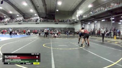 205 lbs Round 3 - Darius Johnson, Eagles Wrestling Club Liberty North vs Eli Vaughan, Ozark Youth Wrestling