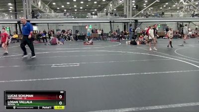 60 lbs Semis (4 Team) - Logan Vallala, Revival vs Lucas Schuman, Mat Assassins