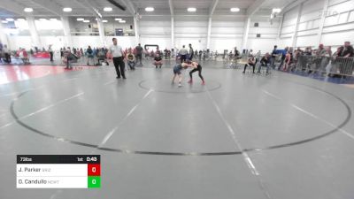 73 lbs Consi Of 4 - Jayden Parker, Grizzlies Wrestling Academy vs Daniel Candullo, Newtown CT