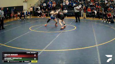 126 lbs Cons. Round 1 - Bruce Berger, Bay vs Dominic Demastus, Ak. Springfield