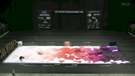 Montage "Milwaukee WI" at 2024 WGI Color Guard World Championships