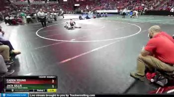 D1-170 lbs Champ. Round 1 - Caden Young, Shawano Com. vs Jack Gillis, New Berlin West/Eisen.