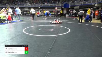 66 lbs Quarterfinal - Aubrey Montes, Cumberland Valley vs Aubrey Kokinda, Tamaqua