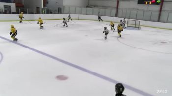 Replay: Home - 2023 PB Hawks U12 vs Nashville Predato | Dec 1 @ 1 PM