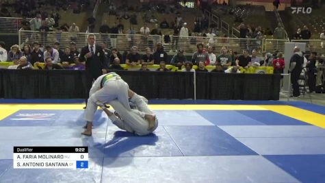ALEXANDRE FARIA MOLINARO vs SERGIO ANTONIO SANTANA SOARES FI 2024 Pan Jiu Jitsu IBJJF Championship