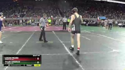 D4-113 lbs Quarterfinal - Tyler Sheeran, St Francis HS vs Logan Mears, Union City HS