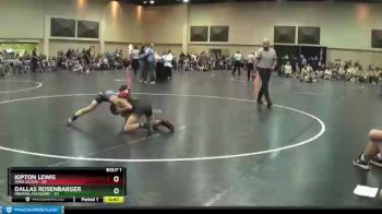 90 lbs Finals (2 Team) - Dallas Rosenbarger, Indiana Assassins vs Kipton Lewis, Iowa Silver