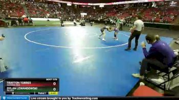 D1-120 lbs Cons. Round 1 - Trayton Torres, Elkhorn Area vs Dylan Lewandowski, Nicolet