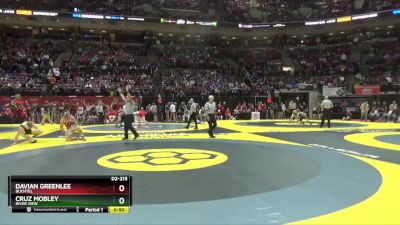 D2-215 lbs Champ. Round 1 - Davian Greenlee, Buchtel vs Cruz Mobley, River View